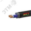 Кабель силовой ВВГнг(А)-FRLS 2х50мк(N)-0,66 ВНИИКП ТРТС