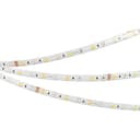Лента RTWSEB6010mm 24V RGBWWhite 144 Wm IP65 5060 5m arlight Открытый 034184