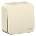 BLANCA одноклавишный выключатель наружный (cх.1) с изолирующей пластиной, 6а, 250в, молочный