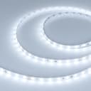 Лента DOTX648mm 24V White6000 5 Wm IP20 5m Arlight Открытый 040185