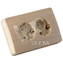 Розетка двойная скрытая с заземлением со шторками сосна