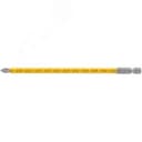 Биты кованые сталь S2 односторонние 100 мм PH2 Профи 2 шт блистер