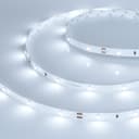 Лента Arlight RT 25000 24V Cool 8K 05x 3528 150 LED LUX 29 Втм IP20 019916