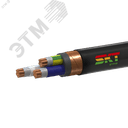 Кабель силовой ВВГЭнг(А)-FRLS 3х25мк(N.PE)-0.66 ТРТС