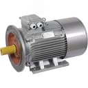 Электродвигатель трехфазный АИР 180S2 660В 22кВт 3000об/мин 2081 DRIVE