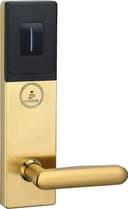 Электронный умный замок IS8001-G