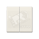 Клавиша 2-я для выключателей и кнопок без подсветки. Серия AS500 Материал- термопласт Цвет- слоновая кость JUNG