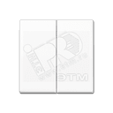 Клавиша 2-я для выключателей и кнопок без подсветки. Серия AS500 Материал- термопласт Цвет- белый JUNG