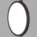 Накладной светильник Denkirs BELTY FLOW DK5566BK