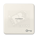 Клавиша с окошком и символом ключ для выключателей с подсветкой слоновая кость JUNG