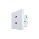 ZIMA Розетка 2-ая USB разъем белая LEZARD