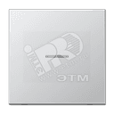 Клавиша 1-я для выключателей и кнопок с окошком для подсветки. Серия LS990 Материал- металл Цвет- алюминий JUNG