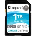 Карта памяти Kingston Canvas Go! Plus 1TB SDG3/1TB