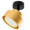 Светильник настенный HL3670 AURA 12W 230V GX53 золото 48414