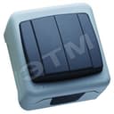 Выключатель двухклавишный IP55 герметичный серый (пружинный зажим) Makel