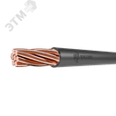 Провод ПуВнг(А)-LSLTx 1х70 Ч ТРТС
