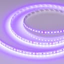 Лента RTA1208mm 24V Violet 96 Wm IP20 2835 5m Arlight 043384