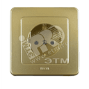 Розетка скрытая с заземлением со шторками золото