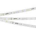 Лента Arlight RT20000 24V White6000 3528 60 LEDm 20m 48 Втм IP20 025009