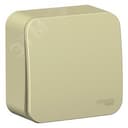 Выключатель BLANCA открытой установки одноклавишный (cх.1) с самовозвратом, изолирующей пластиной, 10А, бежевый