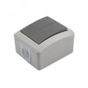 Выключатель двухклавишный INDUSTRIAL IP54, о/у, серый