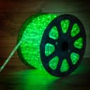 Дюралайт LED фиксинг 2W ЗЕЛЕНЫЙ Ø13мм 30LEDм модуль 2м NeonNight 1211246