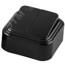 Выключатель двухклавишный наружный, 250В, 6А, IP20, черный,