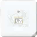 Крышка для ординарной телефонной и компютерной розетки UAE платина