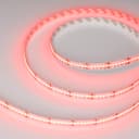 Лента CSPX84012mm 24V RGBWWarm 172 Wm IP20 5m Arlight 5 лет 046937