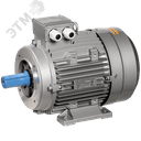 Электродвигатель трехфазный АИС 80A8 380В 0,18кВт 750об/мин 2181