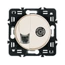 Celiane Панель лицевая для розетки телевизионной RJ+TV слоновая кость 066234 Legrand Euro