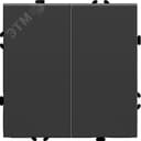 Выключатель 2-клавишный (механизм) 250В, 10А, серия Эмили, черный уголь, soft touch FERON