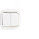 Беларусь Выключатель двухклавишный для управления цепями с 2-х и более мест С(6+6)10-843 БелТИЗ