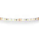 Лента белого свечения 24V Lightstar 420804
