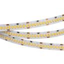 Лента Arlight RT 25000 24V White6000 10mm 2835 252 LEDm LUX 10 Втм IP20 022648