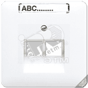 Крышка для ординарной телефонной и компютерной розетки UAE светло-серая JUNG