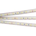 Лента Arlight RTWPSB6013mm 24V Warm3000 144 Wm IP67 5060 5m 0214642