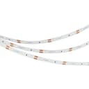 Лента NTA608mm 12V Cool 8K 48 Wm IP20 3528 5m Arlight Открытый 040613