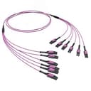 Сборка оптическая разветвительная 12ОВ 50/125 OM4. 6хLC Dupleх Uniboot/6хLC Dupleх Uniboot. 10м DKC