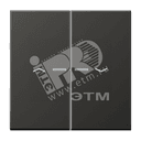 Клавиши для двойной кнопки BCU антрацит AL2995KO5PAN JUNG