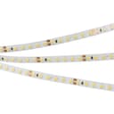 Светодиодная лента Arlight RT 25000 24V Cool 8K 2x 3528 600 LED LUX 013747