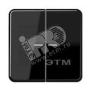 Клавиши для сдвоенных выключателей с подсветкой черные JUNG