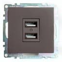 Розетка USB 2местная механизм STEKKER GLS10711504 250B 21А серия Катрин шоколад 49027