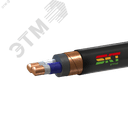 Кабель силовой ВВГЭнг(А)-FRLS 2х16ок(N)-1 ВНИИКП ТРТС