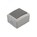 Переключатель проходной INDUSTRIAL IP54, о/у, серый