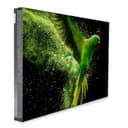 Панель для видеостены LVD-5521C Barco