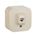 Quteo Розетка телефонная RJ11 наружная бежевая