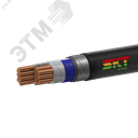 Кабель силовой ВБШвнг(А)-FRLS 2х70мс(N)-1 ВНИИКП ТРТС