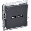 BRITE Розетка USB A+A 3.1А РЮ10-1-БрГ графит BR-U21-D31-K53 IEK