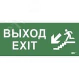 Этикетка самокл. 330х140мм Выход/лест. вниз/фигура IEK
